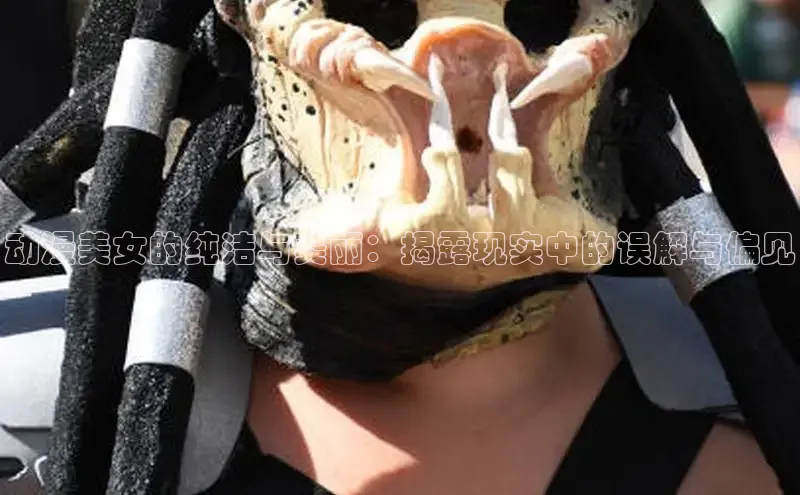 五一动画网页版