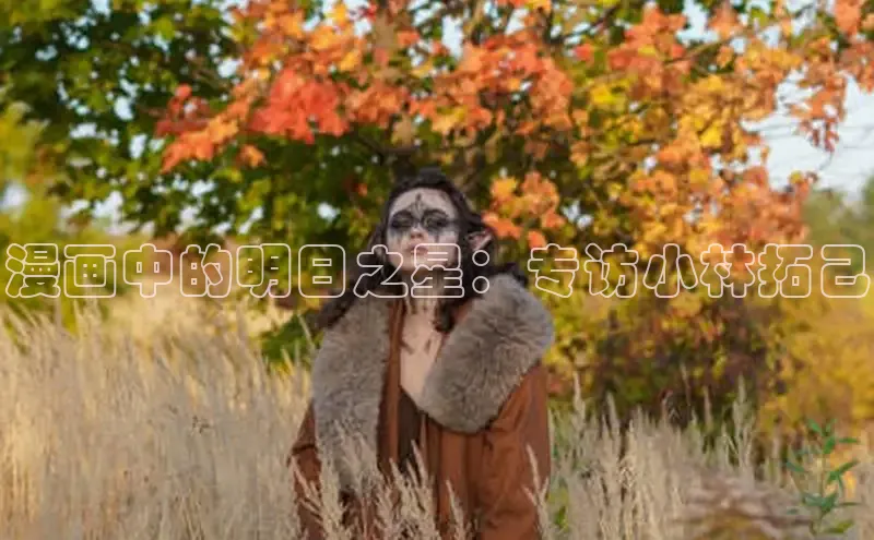 五一动画网页版